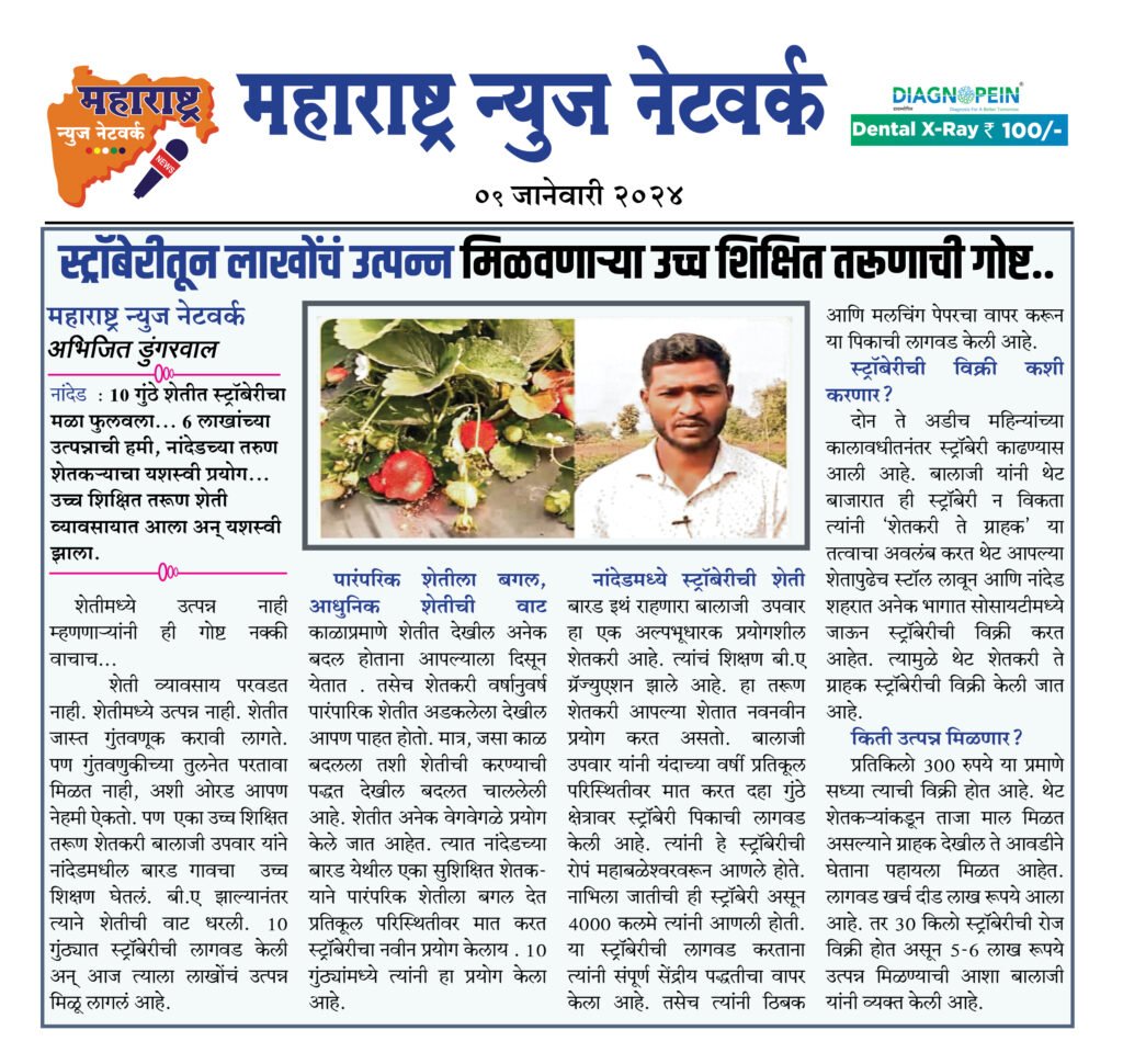 स्ट्रॉबेरीतून लाखोंचं उत्पन्न मिळवणाऱ्या उच्च शिक्षित तरूणाची गोष्ट.. 2 09 01 24 04