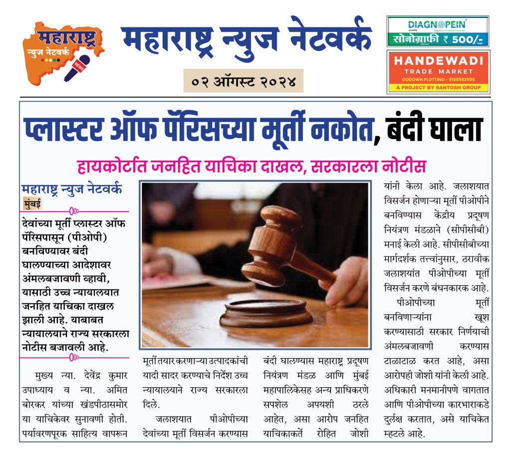 प्लास्टर ऑफ पॅरिसच्या मूर्ती नकोत, बंदी घाला 2 02 08 24 16